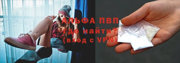 шишки Тихвин