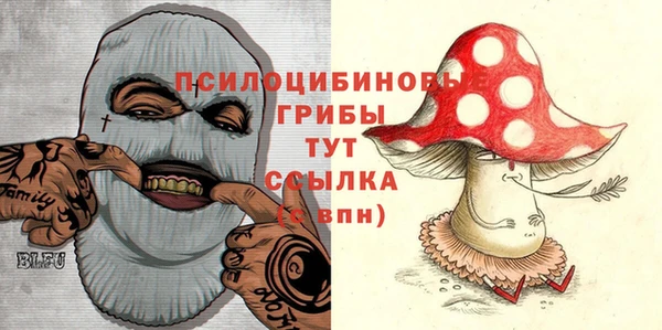 ГАЛЛЮЦИНОГЕННЫЕ ГРИБЫ Наволоки