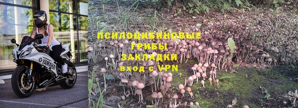 дмт Михайловск