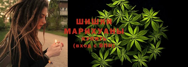 ГАЛЛЮЦИНОГЕННЫЕ ГРИБЫ Наволоки