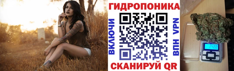 ОМГ ОМГ как войти  Дубовка  МАРИХУАНА Bruce Banner 